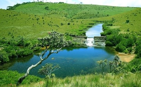All-Inclusive 3-Day Nature Tour of Kandy and Nuwara Eliya