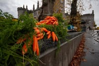 Kilkenny Stadtführung auf Deutsch.  5