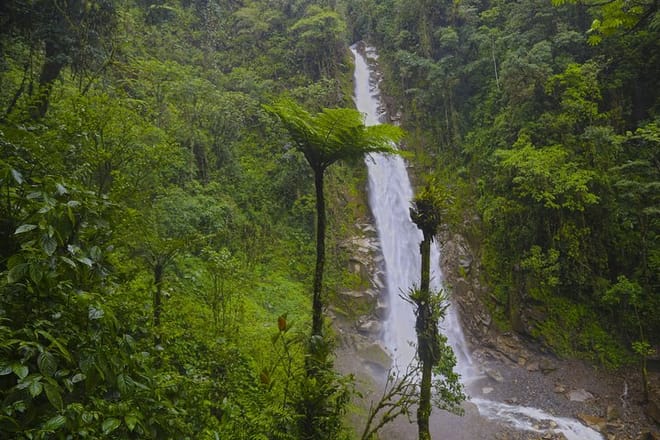Inca Amazon to Machu Picchu 4D - 3N 3