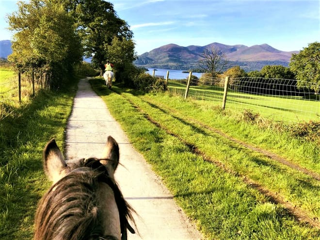 Killarney National Park horseback ride. Kerry. Guided. 1 hour. 3