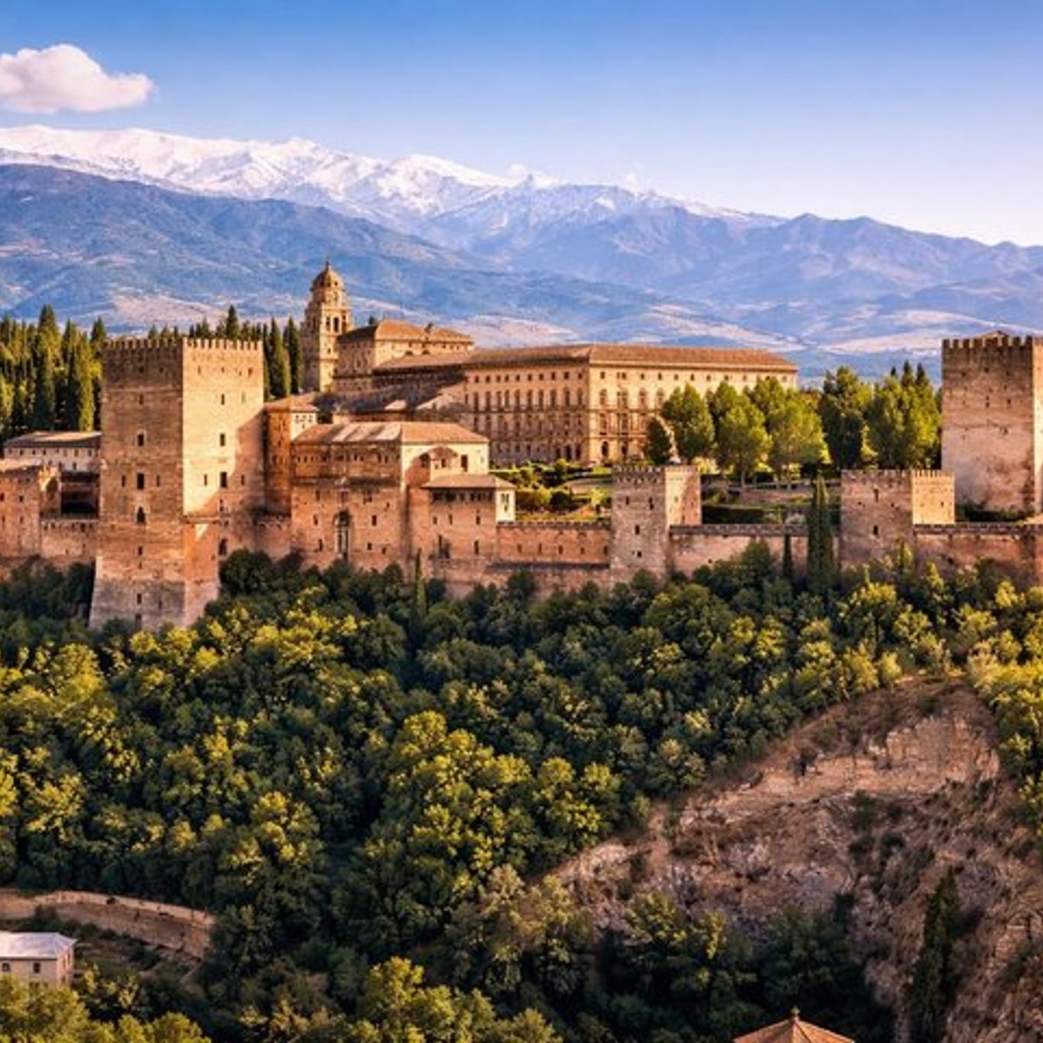 Best of Alhambra & Granada -for Cruisers only -from Malaga port