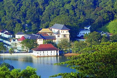 Custom Private Kandy Tour: Explore Temples, Gardens & Tea Plantations