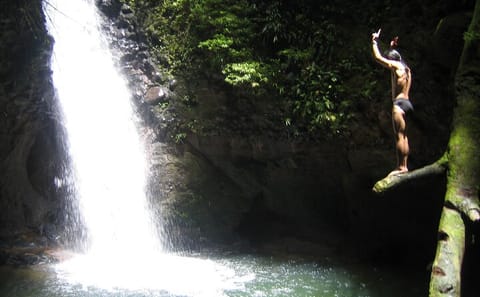 Full Day Jungle Adventure Tour in Puyo, Ecuador