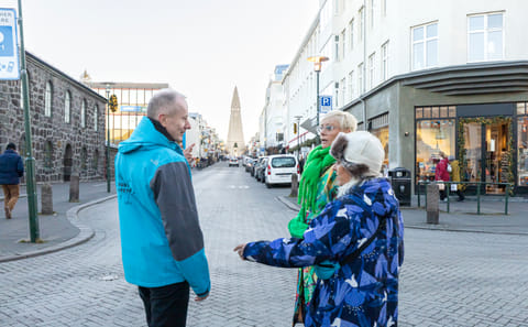Private Walking Tour of Reykjavík with a Local Guide