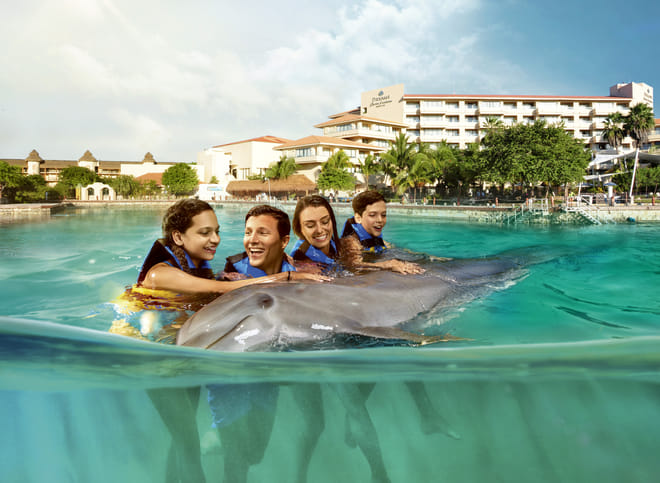 Dolphin Swim Adventure en Dreams Puerto Aventuras photo 5