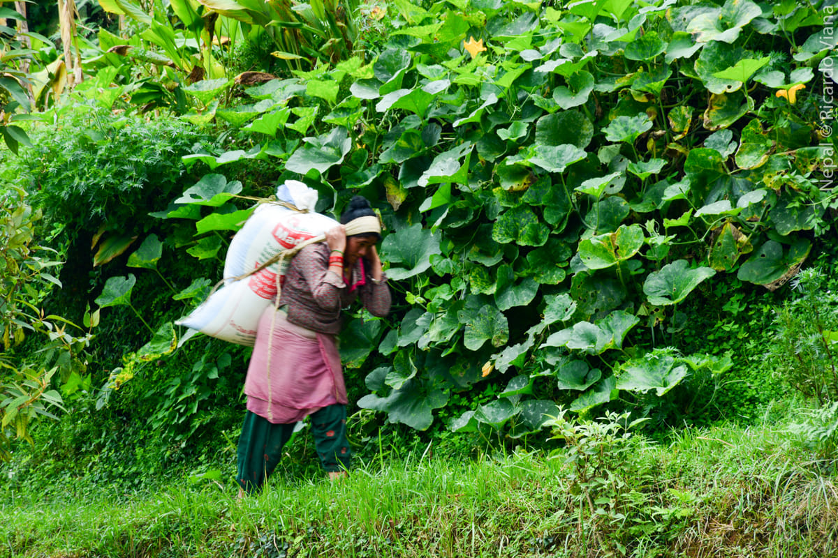 19 Days Mera Peak Climbing & Expedition – One Life-Changing Himalayan Adventure