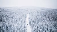 Self-Driving Husky Tour 7-kilometers 6