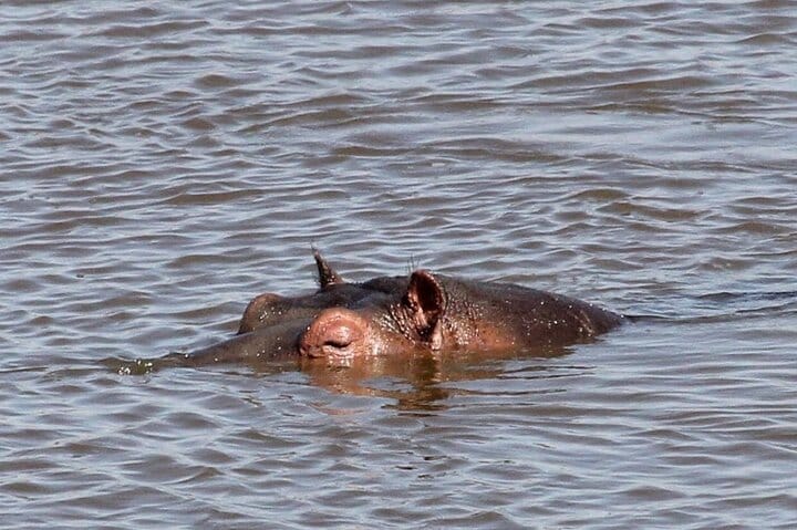 15 minutes scenic helicopter flight above Victoria Falls-Zimbabwe