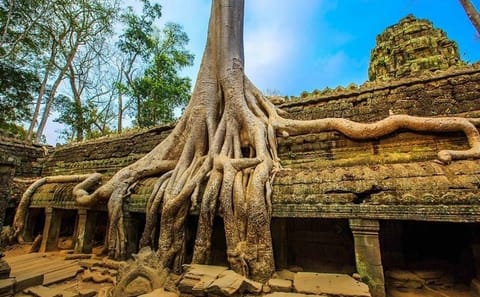 Four-Day Angkor Complex Exploration Tour in Siem Reap
