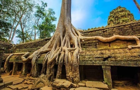 Four-Day Angkor Complex Exploration Tour in Siem Reap
