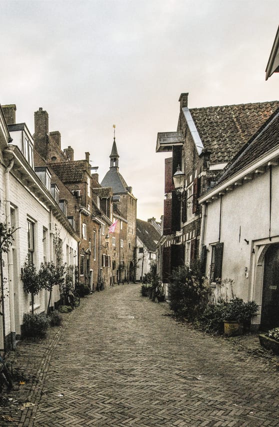 Leiden and Haarlem Private Luxury Car Tour from Amsterdam 7