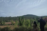 Private Wine Tour