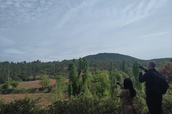 Private Wine Tour