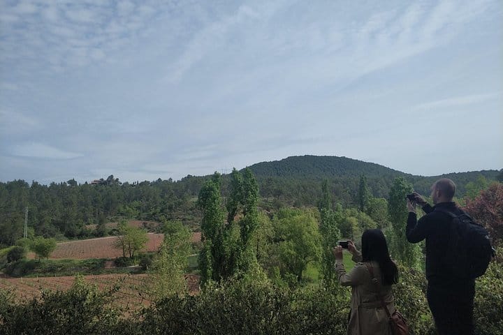 Private Wine Tour