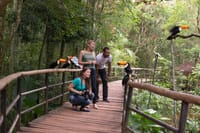 Bird Park