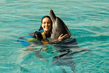 Swim With Dolphins (Deep Water)