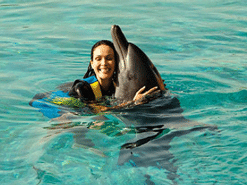 Swim with Dolphins in Deep Water in Dubai