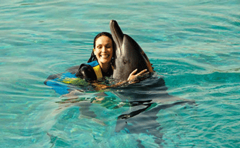 Swim with Dolphins in Deep Water in Dubai