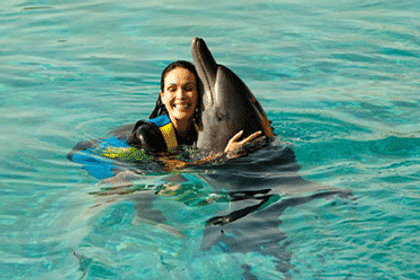 Swim With Dolphins (Deep Water)