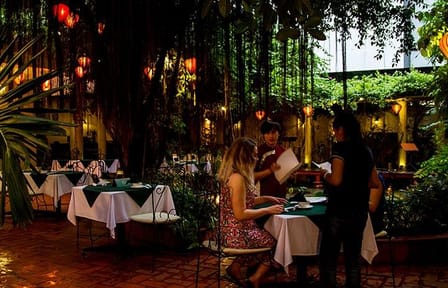 Vietnamese Dinner and Water Puppet Show in Ho Chi Minh City