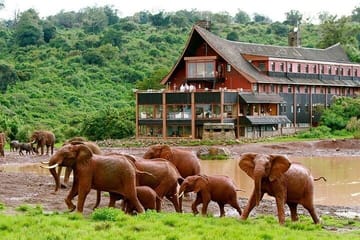 5 days Aberdare lake Nakuru and Masai Mara safari from Nairobi