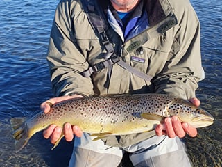Fishing Day Tour From Akureyri, Husavik or Myvatn, photo 12