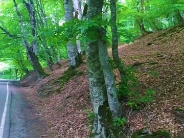 Epic Georgia Journey: 12 Days of Exploration & Charm