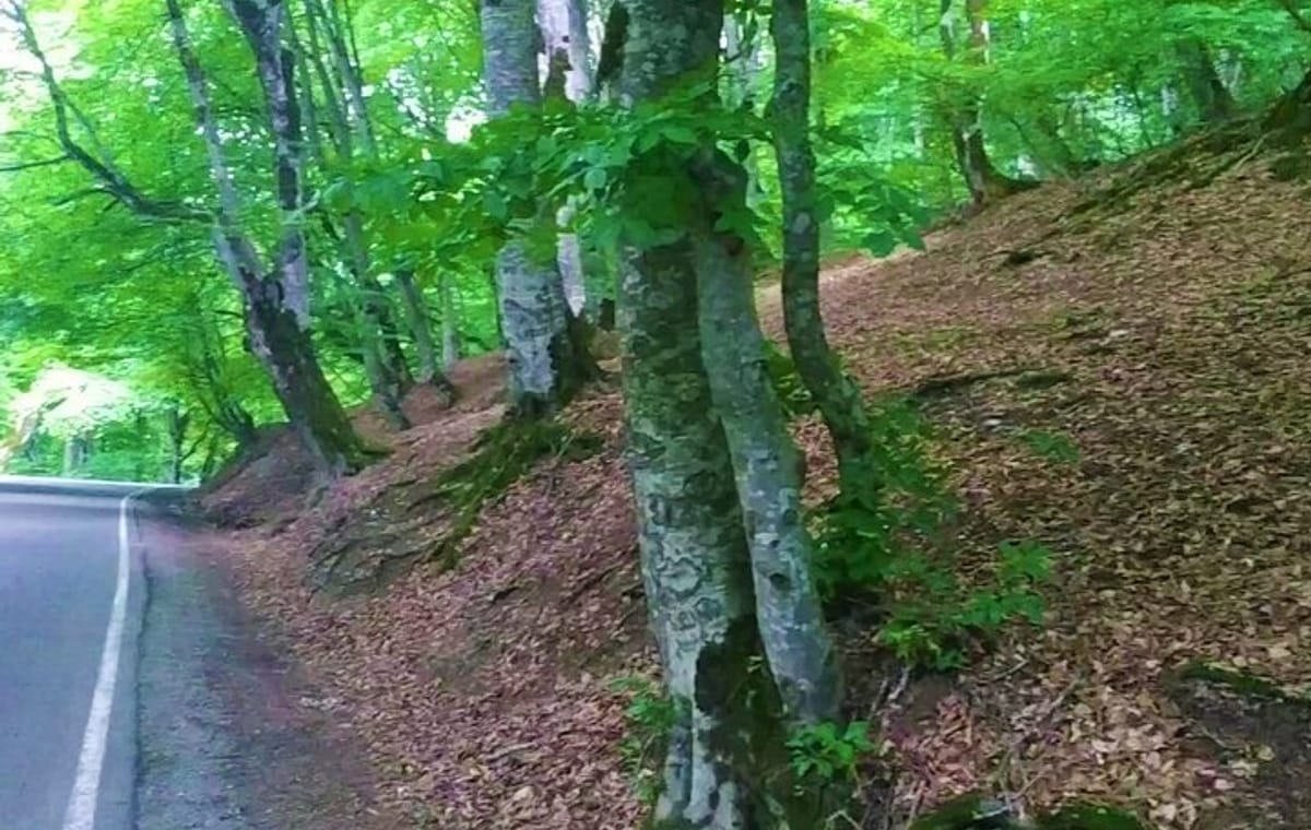 Tusheti Mountian Adventure: 3 Days of Jeep Touring & Nature