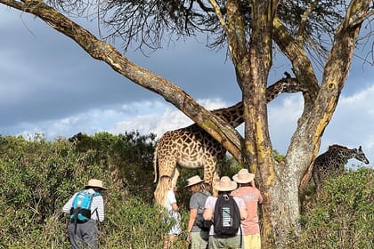 3 Days Maasai Mara Private Safari