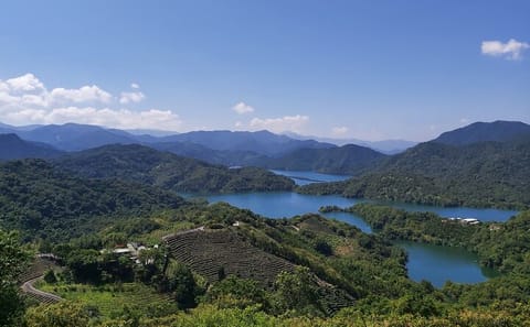 Thousand Island Lake and Pinglin Tea Plantation Tour from Taipei