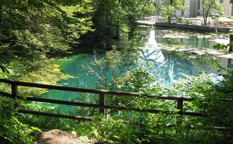 Guided Cultural Walking Tour of Blaubeuren, Germany
