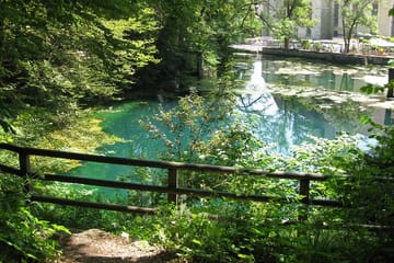 Guided Cultural Walking Tour of Blaubeuren, Germany