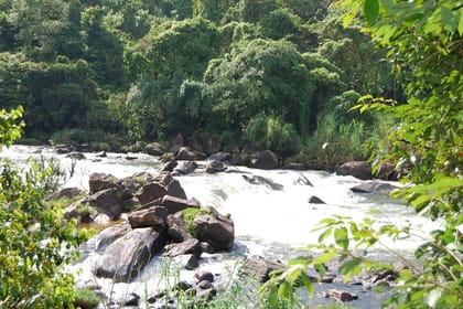 Full-Day Kitulgala White Water Rafting Tour from Colombo