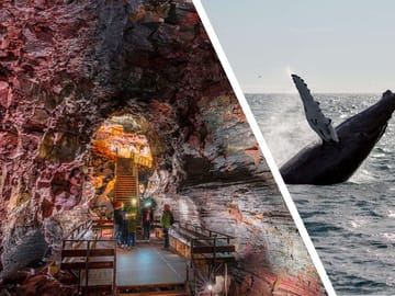 Iceland adventure combining lava cave exploration and whale watching