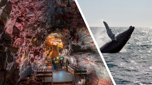 Best Offer: Lava Tunnel & Whale Watching