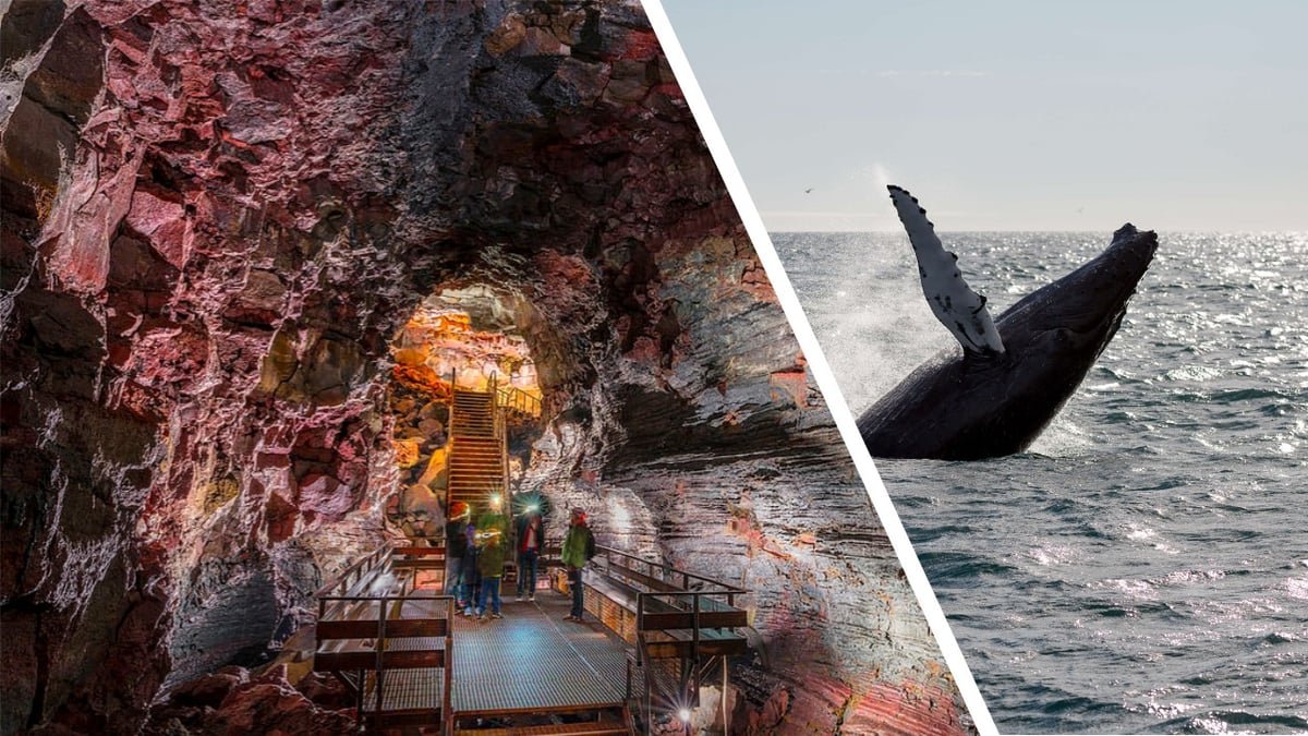 Whale tail emerging from the ocean with lava cave imagery representing Iceland adventure experiences