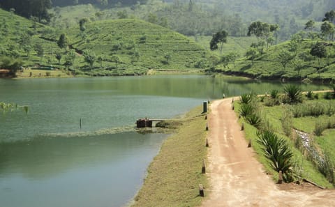 Sembuwatta Lake Nature Tour in Kandy, Sri Lanka