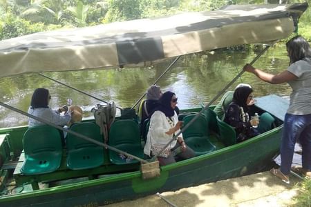 Shore Excursions to Mangrove Wetland Colombo.