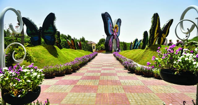 Tickets to Dubai Butterfly Garden