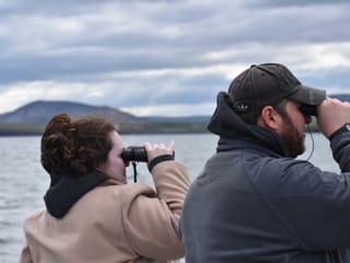 Reykjavík Classic Puffin Watching, photo 25