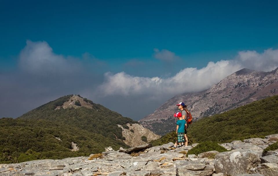 Guided Hiking Tour in Randis Forest, Ikaria, Greece