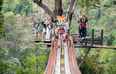 Pongyang Jungle Coaster & Zipline Adventure in Chiang Mai