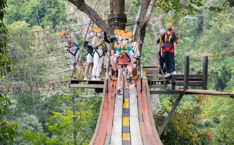 Pongyang Jungle Coaster & Zipline Adventure in Chiang Mai