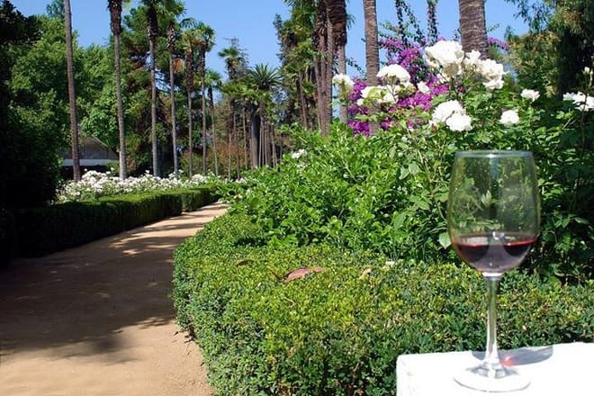 Enjoy a glass of wine in the vineyard