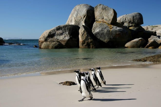 Cape Town, Kruger and Garden Route, Self-Drive 7