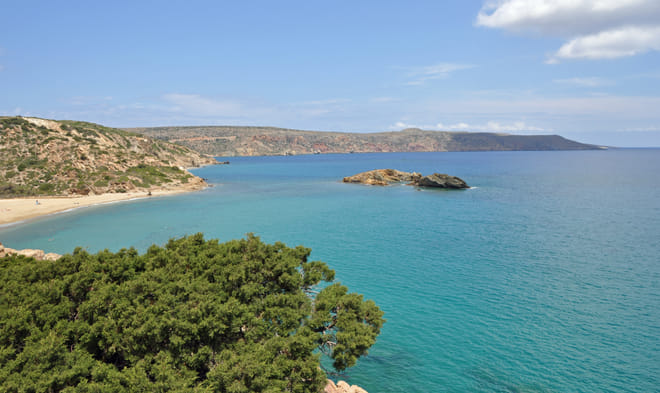 East Crete: Tour to Ierapetra- Toplou Monastery - Palm Beach of Vai - Sitia photo 2