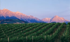 Visit and Tasting at the San Lorenzo's winery, among old houses and of its green coutryside