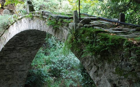 Private 4-Day Cultural Tour of Delphi and Pelion from Athens