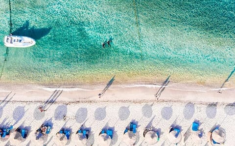 Private Snorkeling Tour to Swim with Turtles in Marsa Alam