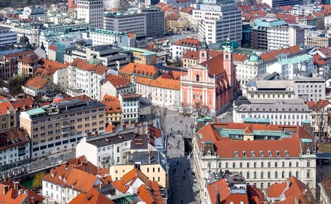 Private Walking Tour of Ljubljana's Historic City Center
